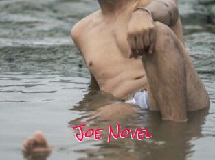 Joe_Novel