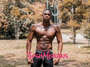 JoshMegans