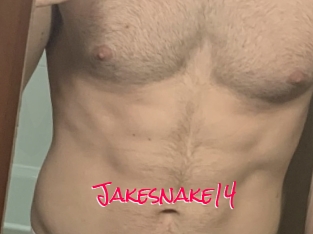 Jakesnake14