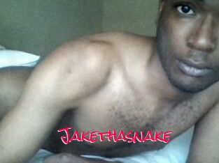 Jake_tha_snake