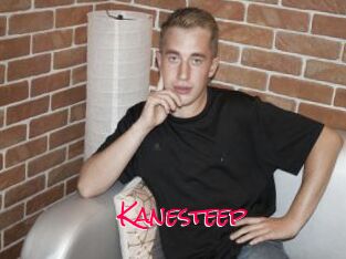 Kanesteep