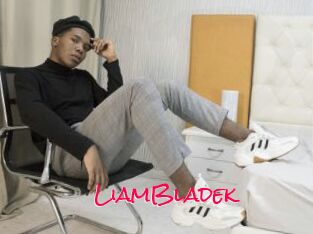 LiamBladek