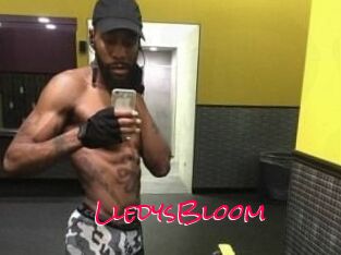 Lledys_Bloom