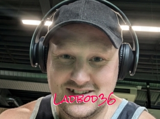 Ladbod36