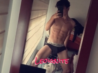 Leoignite