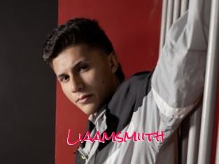 Liaamsmiith
