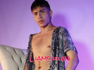 Liamcullen