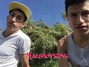 Malehotboys