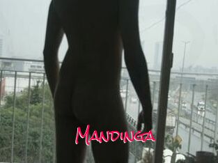 Mandinga
