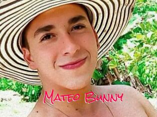 Mateo_Bunny