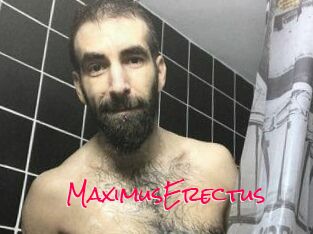 MaximusErectus