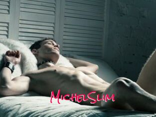 MichelSlim