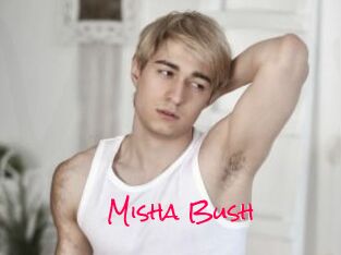 Misha_Bush