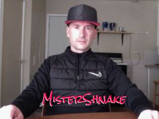 MisterShnake