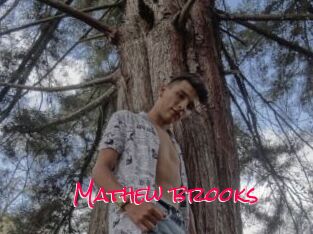 Mathew_brooks