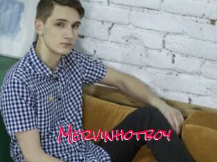 Mervinhotboy