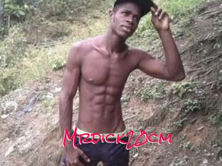 Mrdick20cm