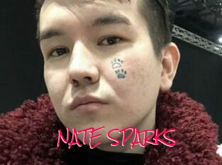 NATE_SPARKS