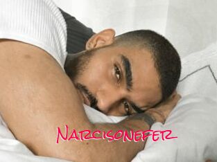 Narcisonefer