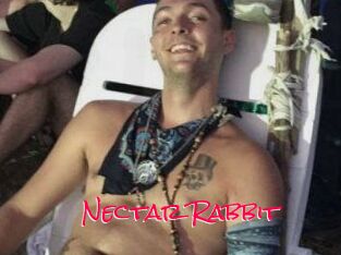 Nectar_Rabbit