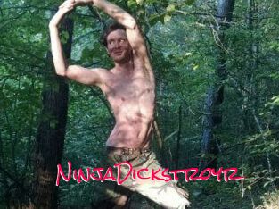 NinjaDickstroyr