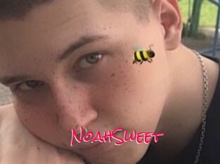 NoahSweet