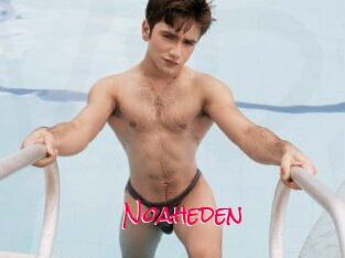 Noaheden