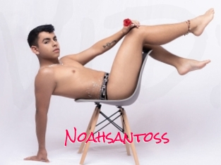 Noahsantoss
