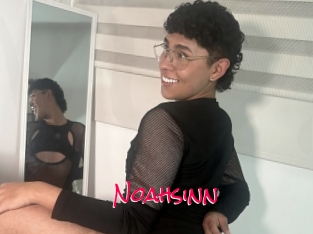 Noahsinn