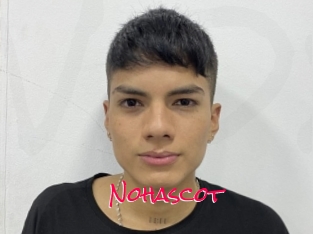 Nohascot
