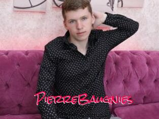 PierreBaugnies