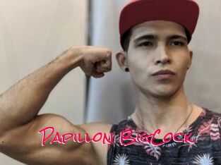 Papillon_BigCock