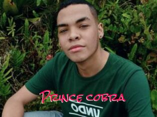 Prince_cobra