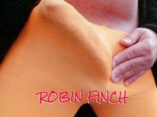 ROBIN_FINCH
