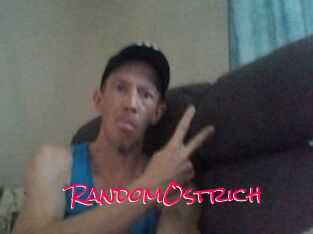 RandomOstrich