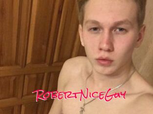 RobertNiceGuy