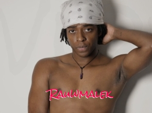 Rauwmalek