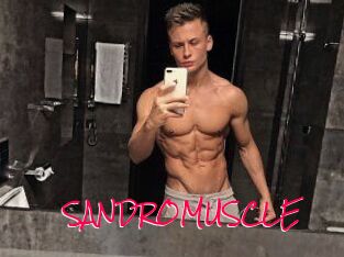 SANDRO_MUSCLE