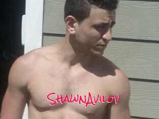 Shawn_Avilov