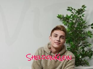 SheldonKlein