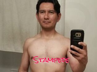 Stampede