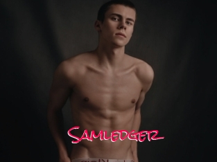 Samledger