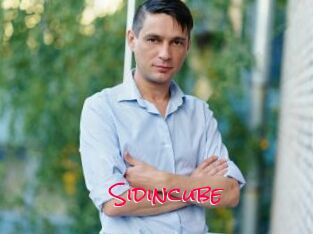Sid_incube