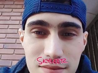 Skyleer