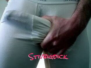 Stivbigdick