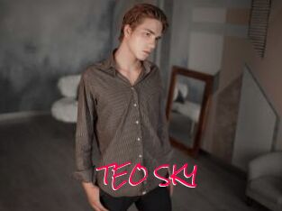TEO_SKY