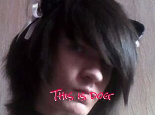This_is_dog