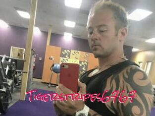Tigerstripes6767