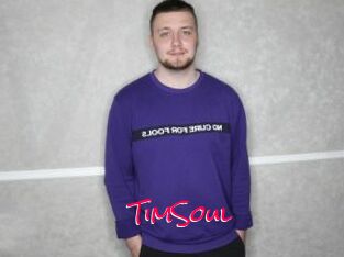 TimSoul