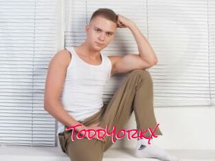 ToddYorkX